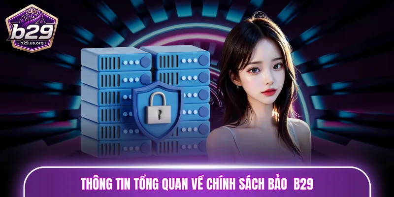 Thông tin tổng quan về chính sách an toàn dữ liệu B29