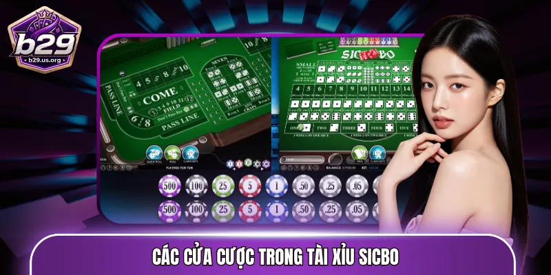 Các cửa cược trong Tài Xỉu Sicbo