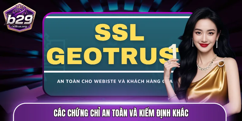Các chứng chỉ an toàn và kiểm định giấy phép hoạt động B29 khác