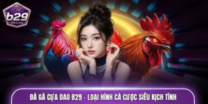 Đá gà cựa dao