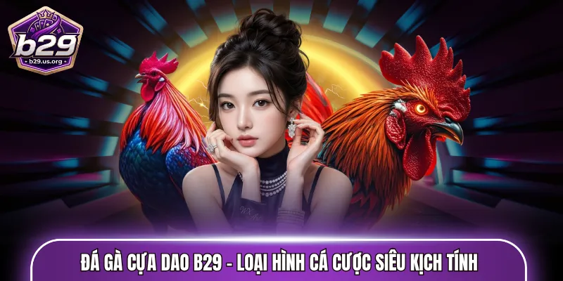 Đá gà cựa dao