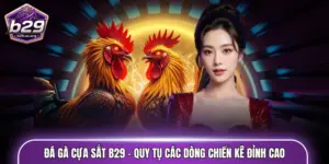 đá gà cựa sắt