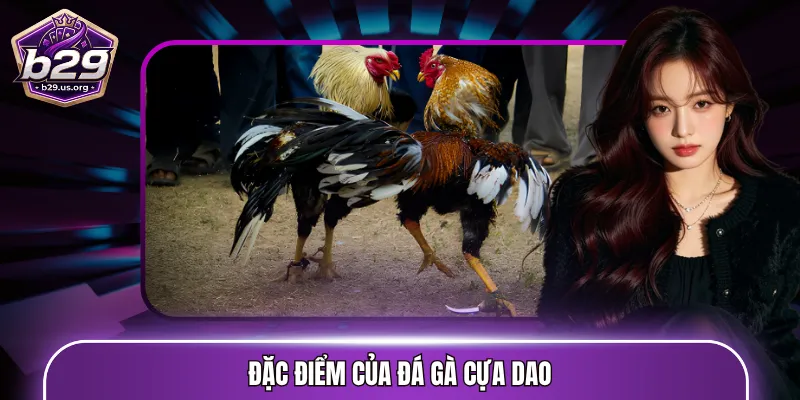 Đặc điểm của đá gà cựa dao