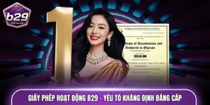 Giấy phép hoạt động B29
