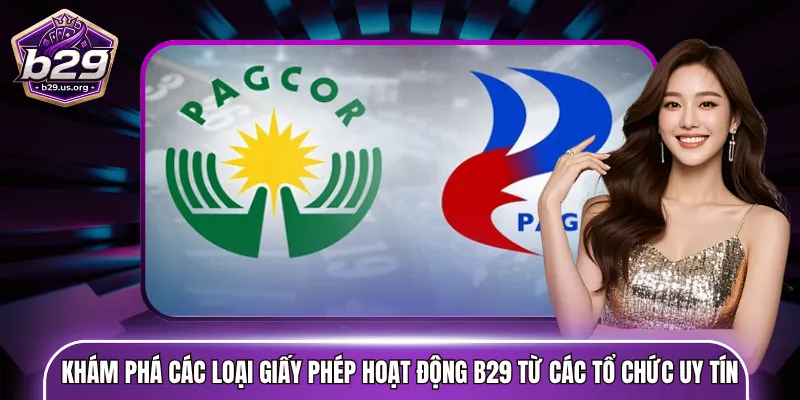 Khám phá các loại giấy phép hoạt động B29 từ các tổ chức uy tín