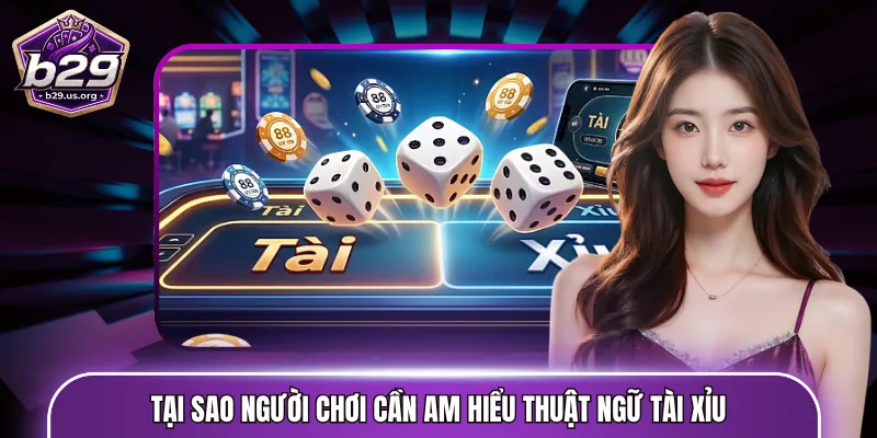 Tại sao người chơi cần am hiểu thuật ngữ tài xỉu